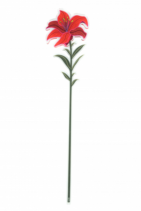 Fiore Vesta giglio grande
