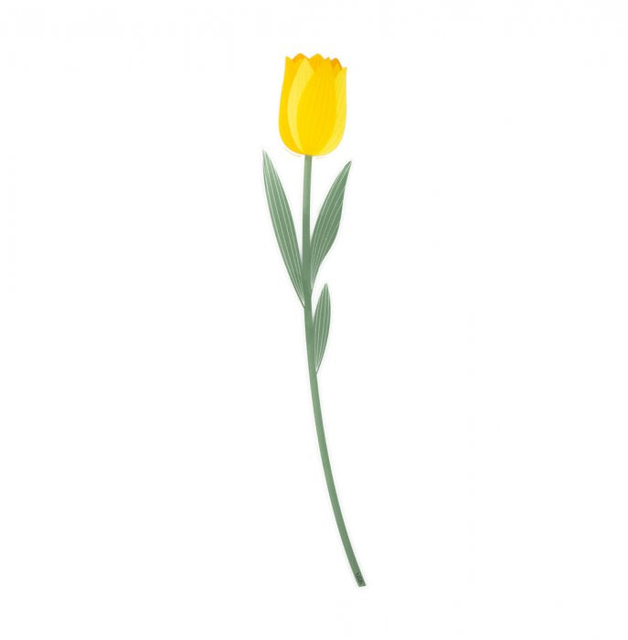 Fiore Vesta tulipano grande