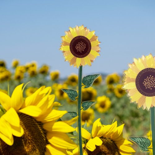 Fiore Vesta girasole piccolo