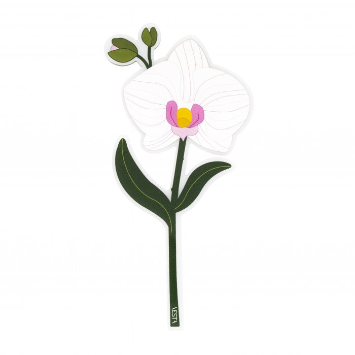 Segnaposto Vesta Orchidea